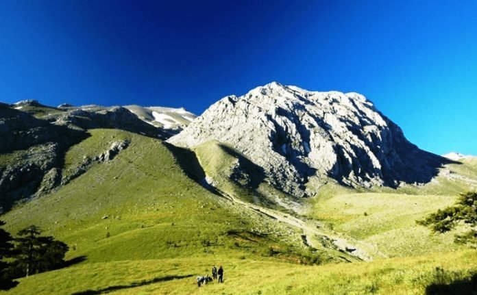 Gole Okcuoglu Yaylasi