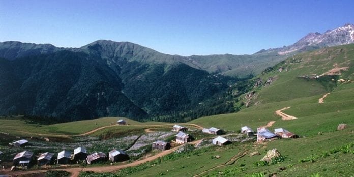 Yalnizcam Yaylasi
